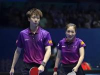 开云体育app-法国队鏖战中国队，林高远惊艳四座的简单介绍