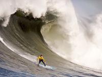 开云体育入口-魔术单节拉开篮网，哈登在2026世界杯接管比赛，从NBA到世界舞台的传奇跨越