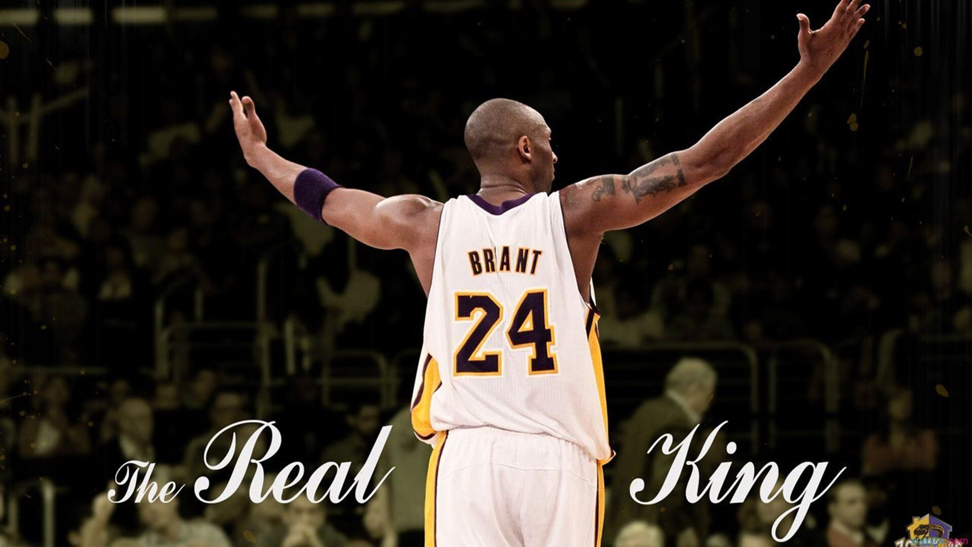 浙江队力克猛龙，德罗赞高光表现背后的篮球哲学